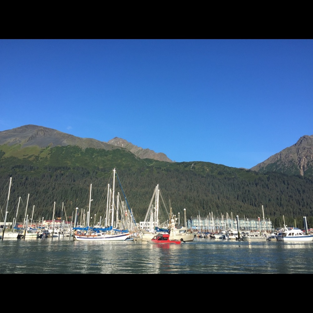 Meet your Posher, Katherine